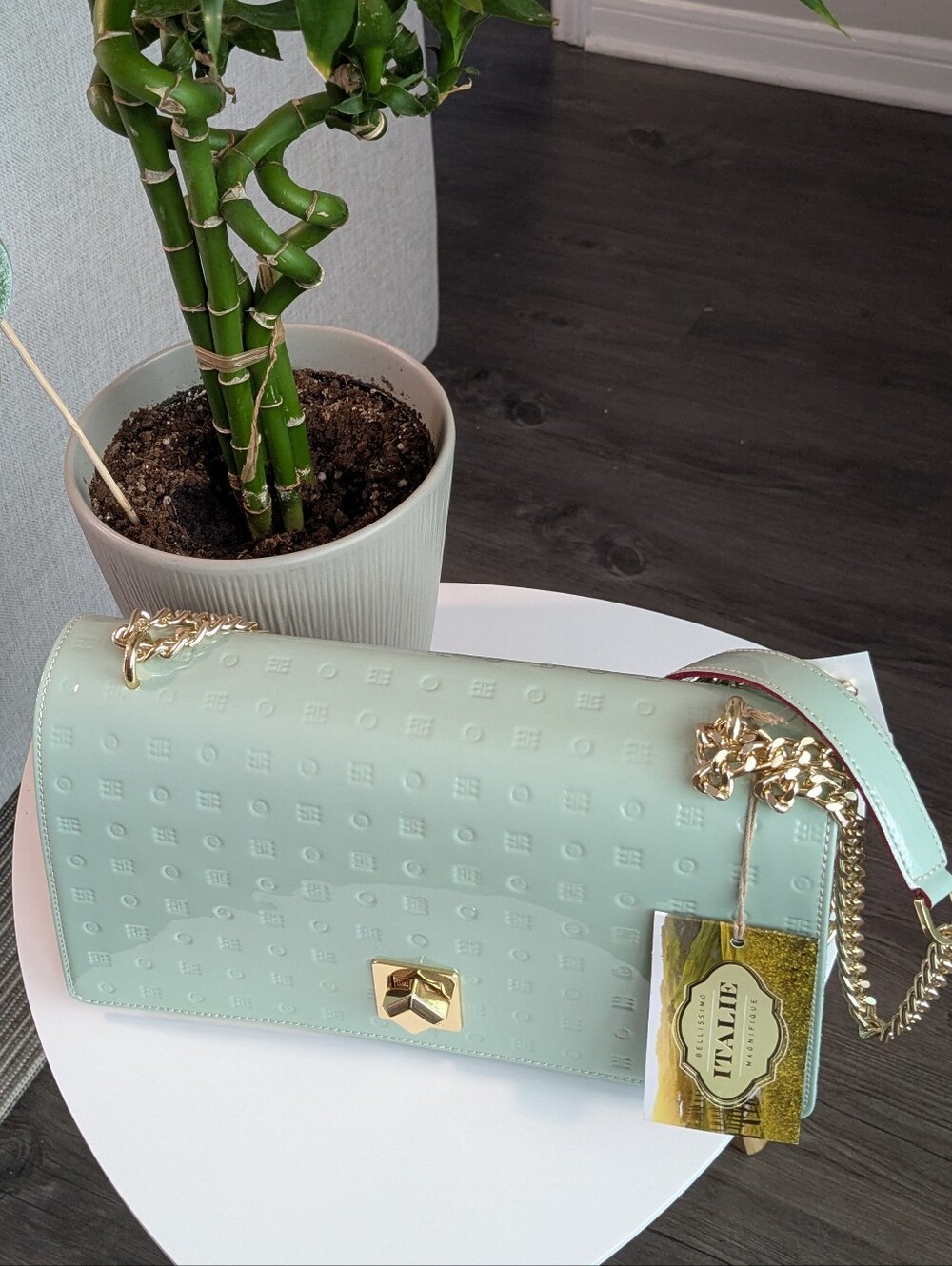 ARCADIA Mint Green Women’s Chain Shoulder Bag with Gold Hardware